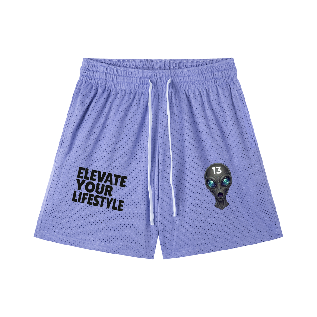 New logo mesh shorts